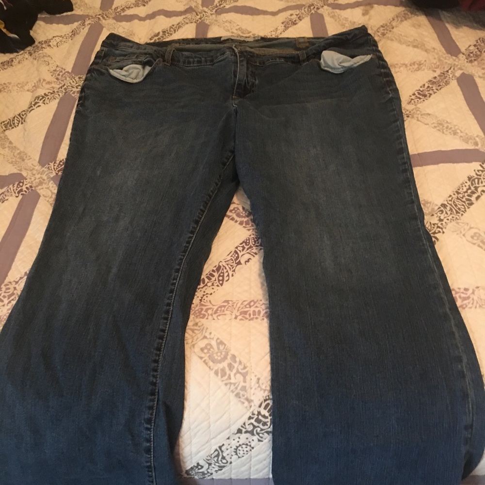 Torrid jeans